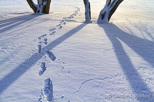 Tracks & Shadows_20820.jpg - Photographed at Smiths Falls, Ontario, Canada.